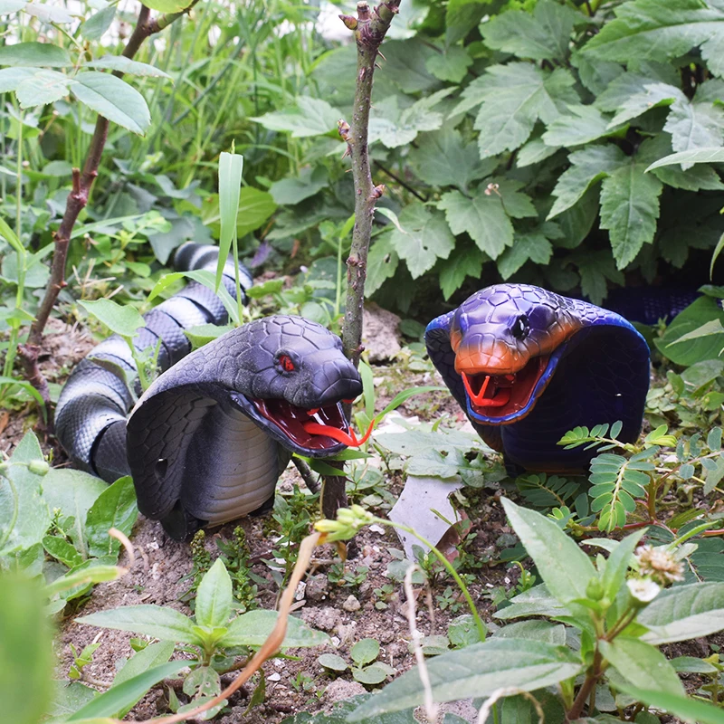 Remote Control Toys Novelty Remote Control Snake Naja Cobra Animal Trick Terrifying Mischief Toy RC Snaker Garden Props Egg
Remote Control Toys Novelty Remote Control Snake Naja Cobra Animal Trick Terrifying Mischief Toy RC Snaker Garden Props Egg