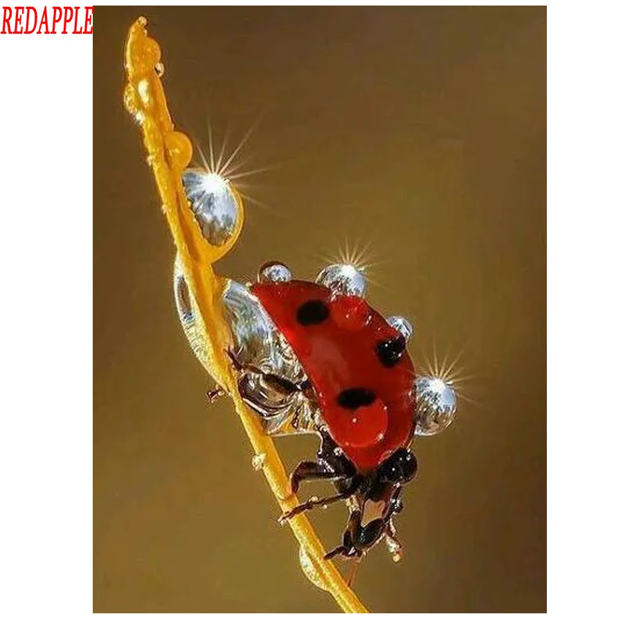 Diamond Painting Ladybug DIY 5D Full Square Round Diamond Embroidery Water droplets Rhinestones Mosaic Kits Home Decor Craft
Diamond Painting Ladybug DIY 5D Full Square Round Diamond Embroidery Water droplets Rhinestones Mosaic Kits Home Decor Craft