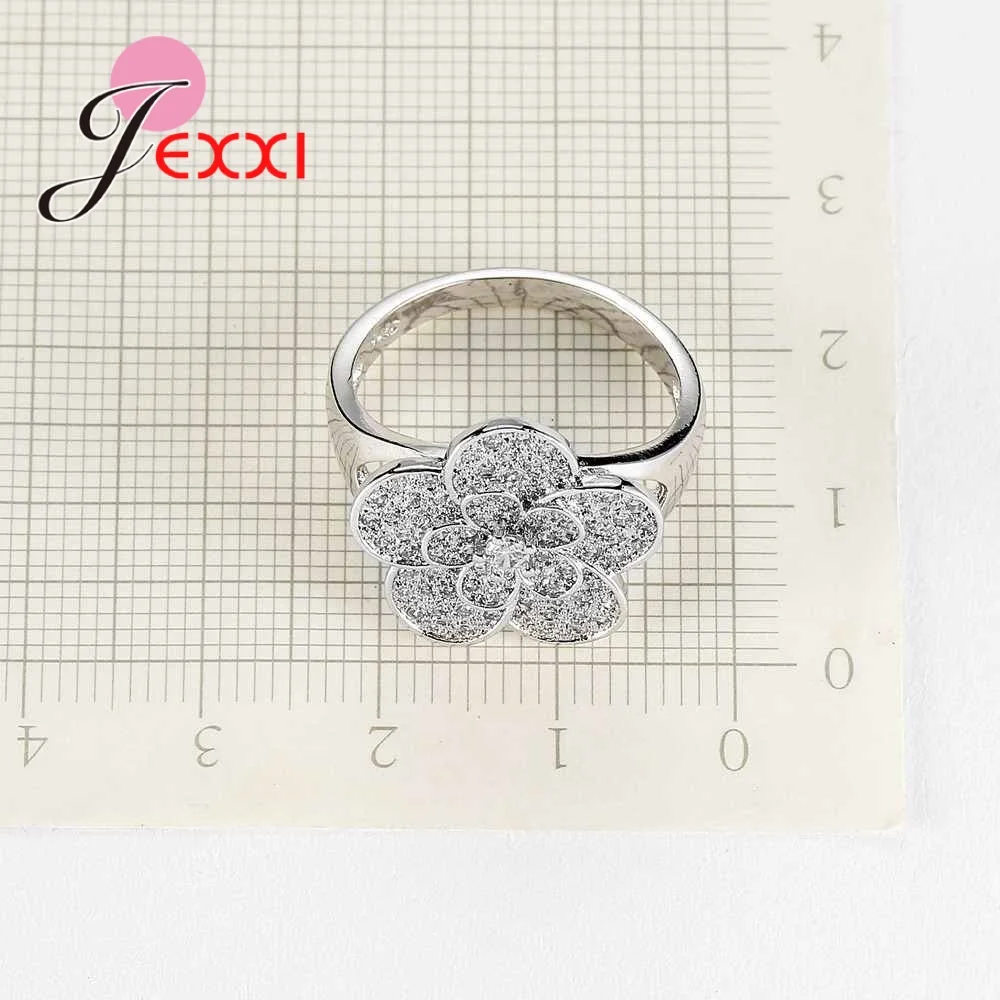 925 Sterling Silver Rings For Women Wedding Anniversary Popular Crystal Ring For Girls Lady Accessory Newest Style
925 Sterling Silver Rings For Women Wedding Anniversary Popular Crystal Ring For Girls Lady Accessory Newest Style