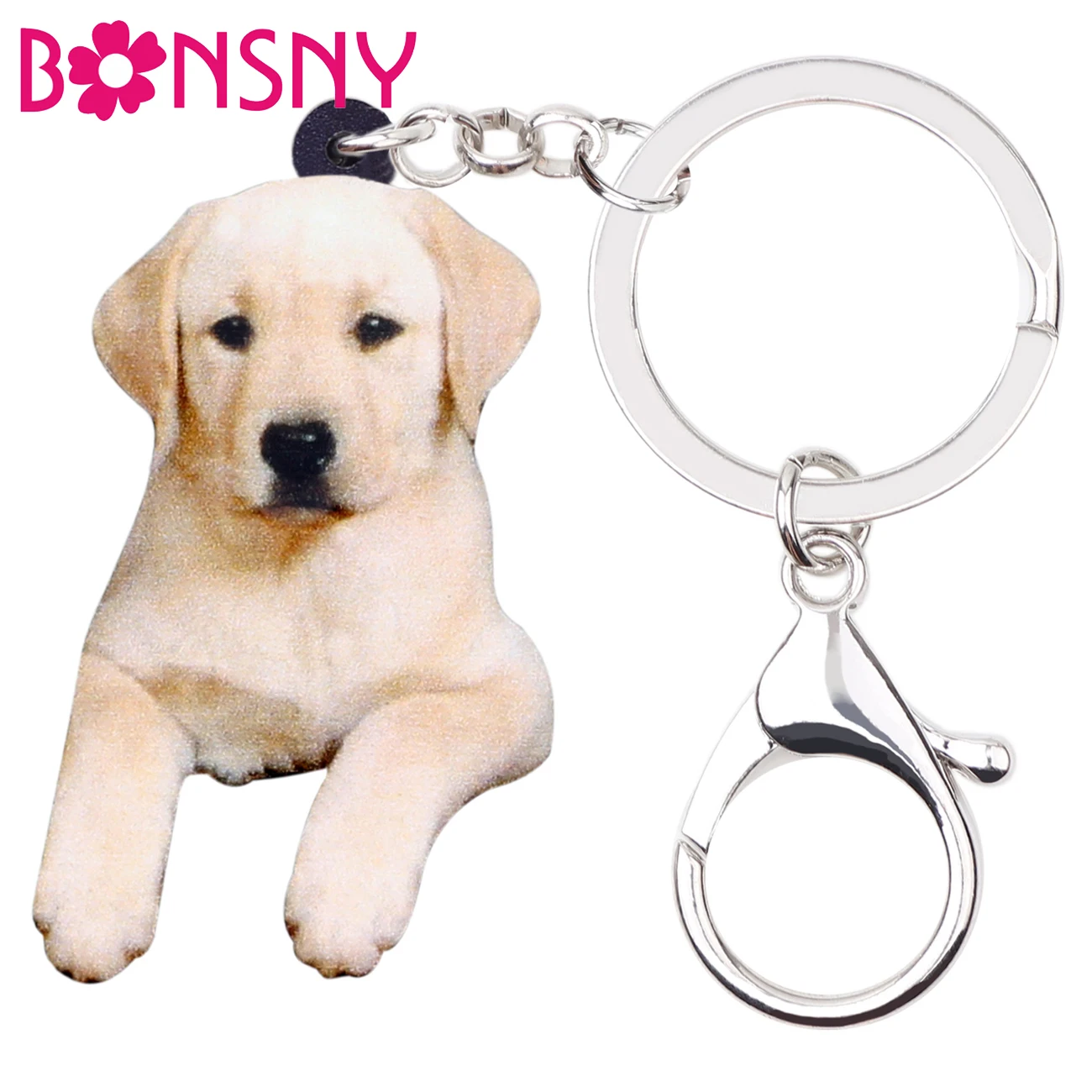 Bonsny Acrylic Cartoon Labrador Dog Key Chain Keychains Holder Animal Jewelry For Women Girls Pet Lovers Gift Bag Car Charms New
Bonsny Acrylic Cartoon Labrador Dog Key Chain Keychains Holder Animal Jewelry For Women Girls Pet Lovers Gift Bag Car Charms New