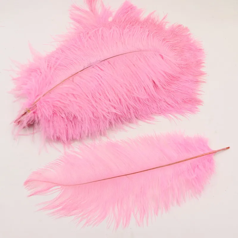 natural light pink ostrich feather wedding decorations ostrich plums party supplies 35-40cm/14-16"
natural light pink ostrich feather wedding decorations ostrich plums party supplies 35-40cm/14-16"