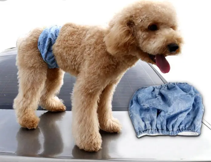 Модный джинсовый костюм для собаки с дырками физиологический пояс менструальные