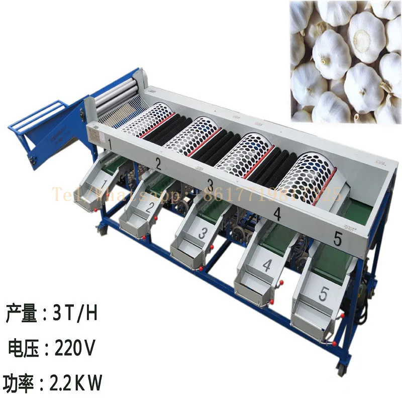 Top Quality Fruit Process Plant/Garlic Sorting Machine/Onion Grading Machine 
Top Quality Fruit Process Plant/Garlic Sorting Machine/Onion Grading Machine