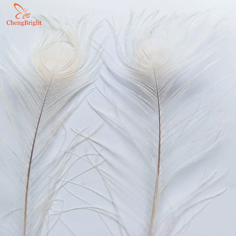 ChengBright Wholesale 1000pcs Beige Natural Peacock Feather 70-80cm/28-32in Decorative Plume Peacock Feather Eye Feather Crafts
ChengBright Wholesale 1000pcs Beige Natural Peacock Feather 70-80cm/28-32in Decorative Plume Peacock Feather Eye Feather Crafts
