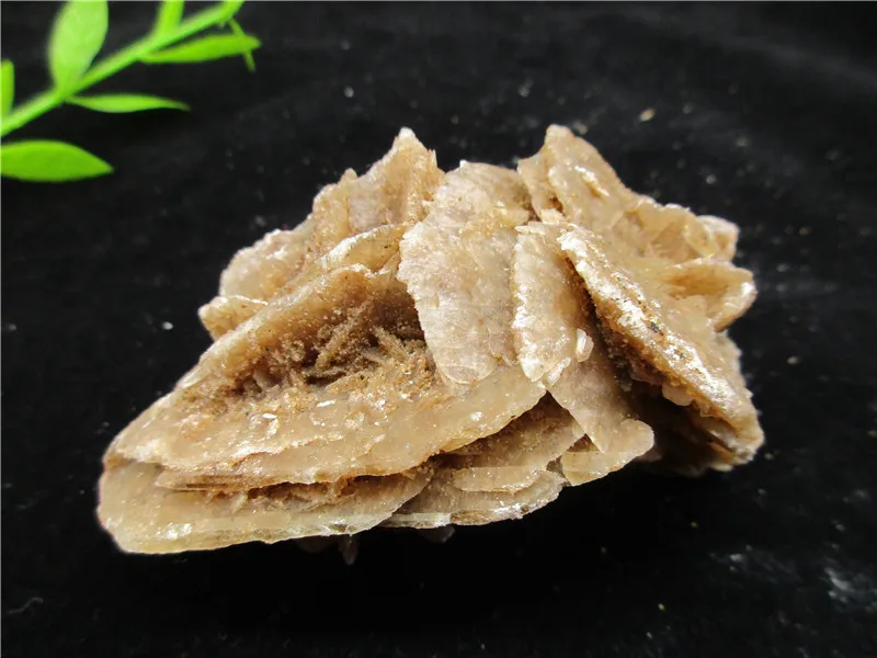 Natural Desert Rose Quartz Flowers Crystal Clusters Decoration Resistant Healing Stone Crystal Chakra Reiki For Collection
Natural Desert Rose Quartz Flowers Crystal Clusters Decoration Resistant Healing Stone Crystal Chakra Reiki For Collection