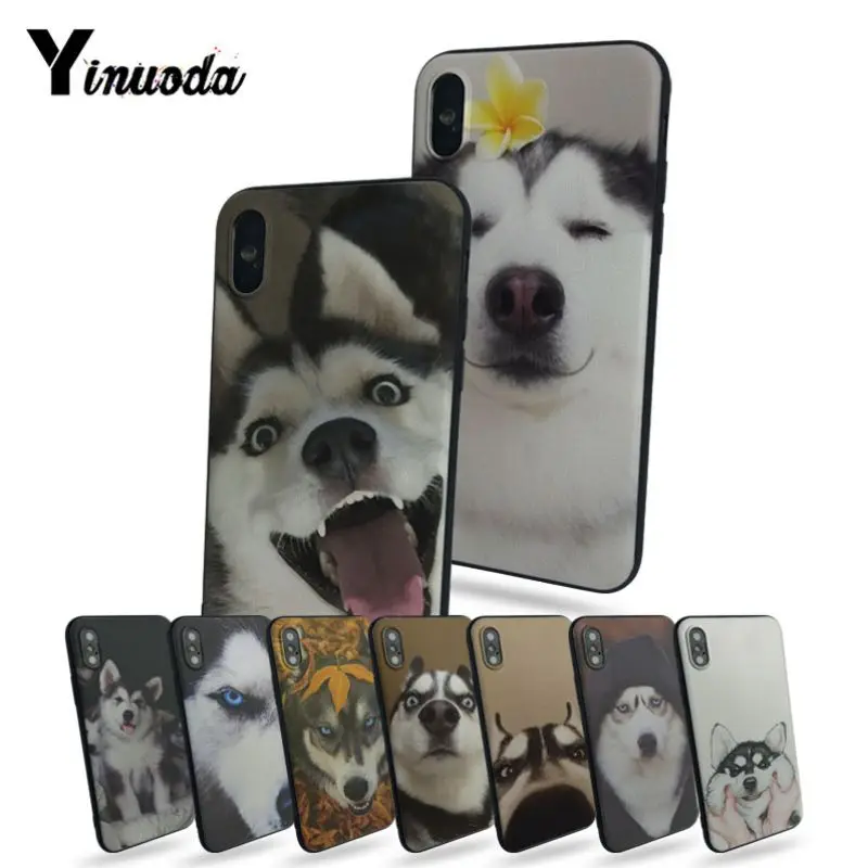 Yinuoda Husky cute Phone Case for iPhone11 Pro Max 8 8plus 7 7plus 6 6plus 5 5s 5c SE Mobile cover
Yinuoda Husky cute Phone Case for iPhone11 Pro Max 8 8plus 7 7plus 6 6plus 5 5s 5c SE Mobile cover