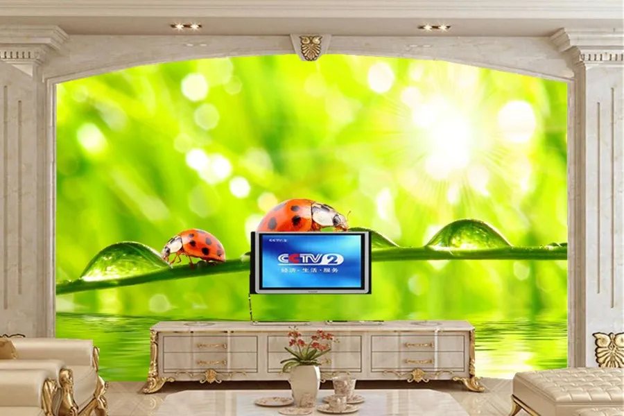 

Custom murals,Ladybugs Closeup Water Drops Two Animals wallpapers,living room sofa TV wall bedroom 3D wallpaper papel de parede