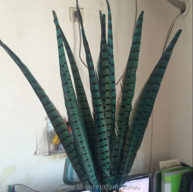 Wholesale 100 pcs beautiful sky blue Pheasant Feather 16-18 inches 40-45 cm free shipping
Wholesale 100 pcs beautiful sky blue Pheasant Feather 16-18 inches 40-45 cm free shipping