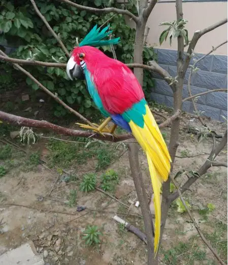 creative simulation red parrot model foam&furs bird with green fur on the top doll gift about 30cm 1793
creative simulation red parrot model foam&furs bird with green fur on the top doll gift about 30cm 1793
