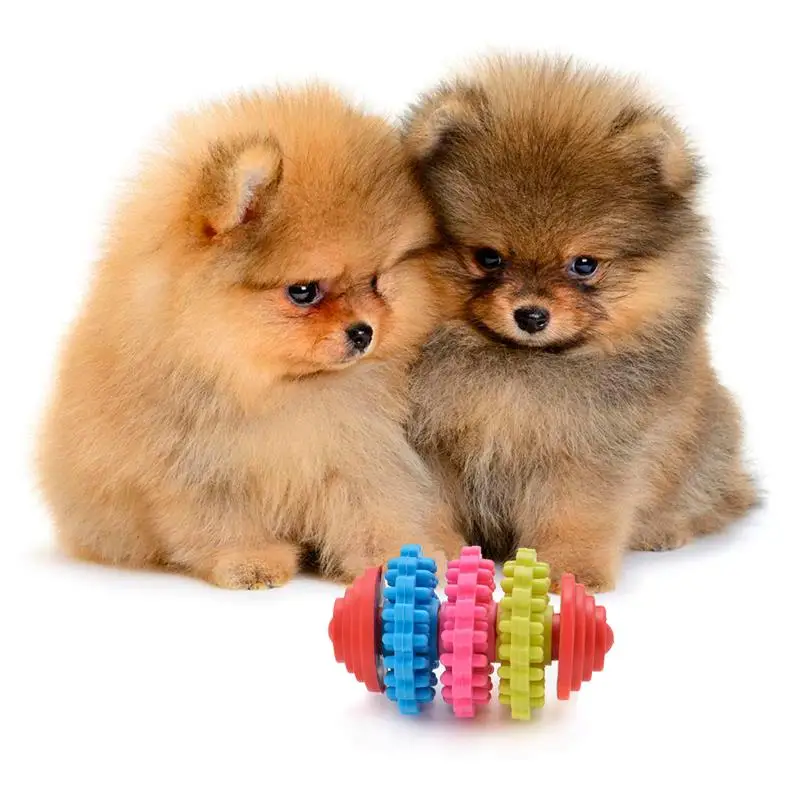 Dog Ball Toy 3 Colors Bite Resistant Interactive Funny Dog Chew Toy Puppy Teething Toy Pet Toy Ball
Dog Ball Toy 3 Colors Bite Resistant Interactive Funny Dog Chew Toy Puppy Teething Toy Pet Toy Ball