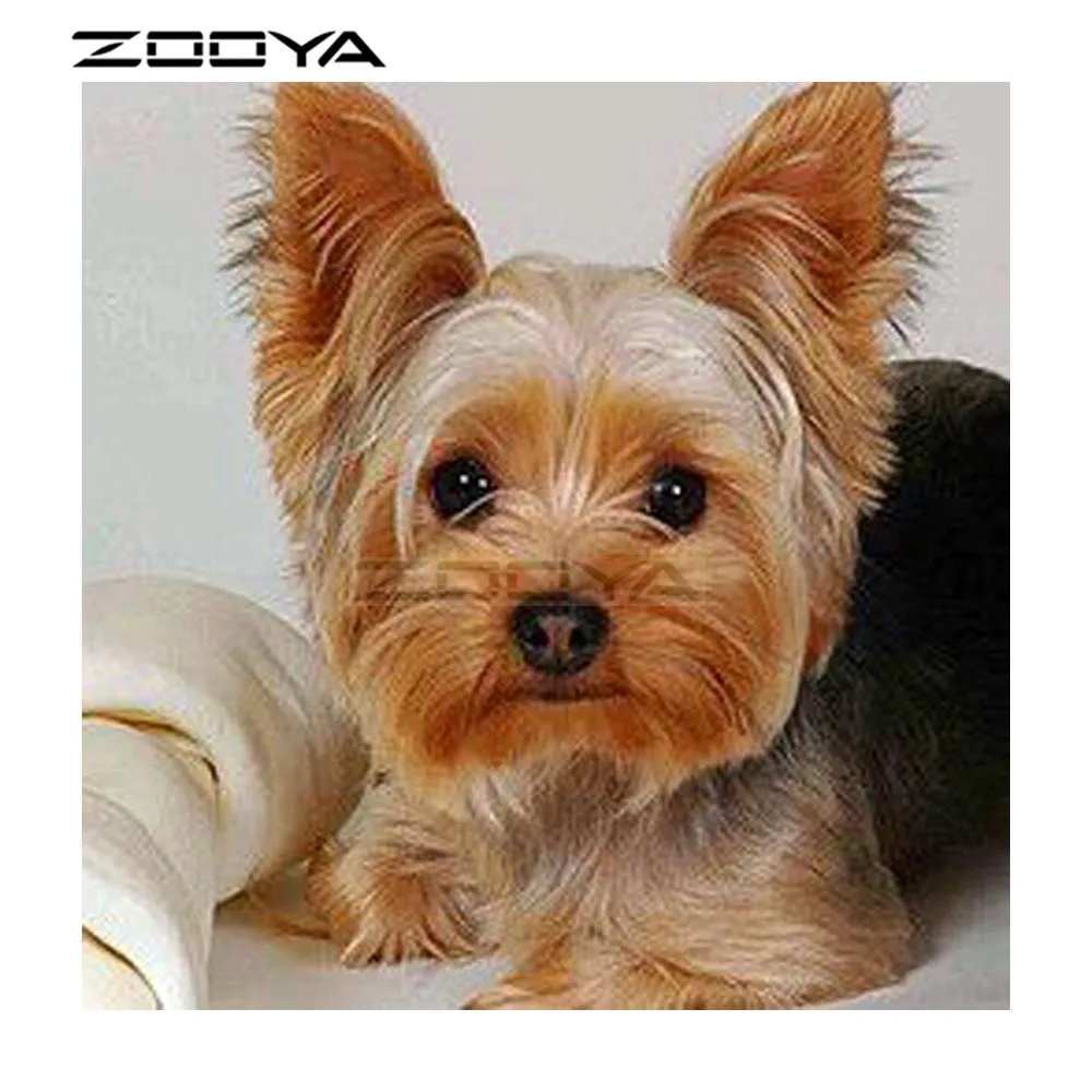ZOOYA Diamond Embroidery 5D DIY Diamond Painting Animal Dog Rhinestones Embroidery Diamond Cross Stitch Mosaic Picture F1117
ZOOYA Diamond Embroidery 5D DIY Diamond Painting Animal Dog Rhinestones Embroidery Diamond Cross Stitch Mosaic Picture F1117
