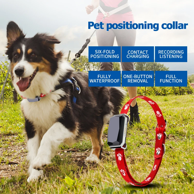 Pets Collar GPS Tracker Global Locator Real Time Dog Cat GPS Collar Tracking GPS+LBS+WIFI Geofence Free APP
Pets Collar GPS Tracker Global Locator Real Time Dog Cat GPS Collar Tracking GPS+LBS+WIFI Geofence Free APP