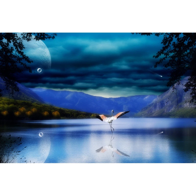 Full Square Drill 5D DIY lake mountains trees planets cloudy sky diamond painting Cross Stitch 3D Embroidery Kits home decor H82
Full Square Drill 5D DIY lake mountains trees planets cloudy sky diamond painting Cross Stitch 3D Embroidery Kits home decor H82