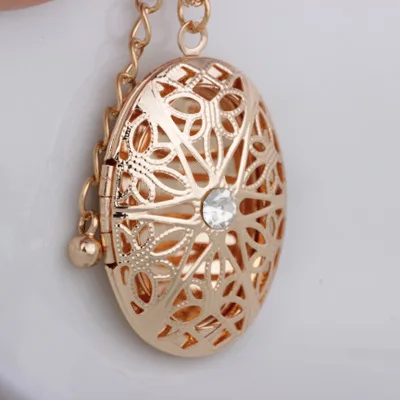 Oval Hollow Pendant Jewelry Flowers Crystal Can Be Open Photo Locket Exquisite Necklaces Jewelry For Women Accessories
Oval Hollow Pendant Jewelry Flowers Crystal Can Be Open Photo Locket Exquisite Necklaces Jewelry For Women Accessories