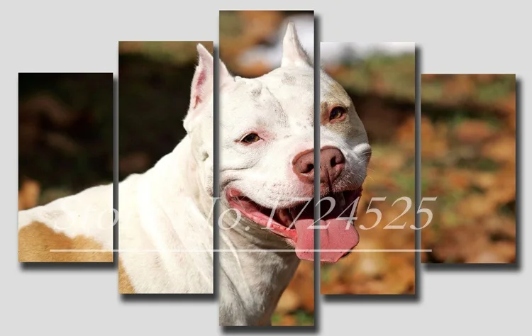 CLSTROSE 5 Pcs Prints Animals Dogs Canvas Painting Wall Art Home Decor Modular Wall Paintings Pictures For living Room Unframed
CLSTROSE 5 Pcs Prints Animals Dogs Canvas Painting Wall Art Home Decor Modular Wall Paintings Pictures For living Room Unframed