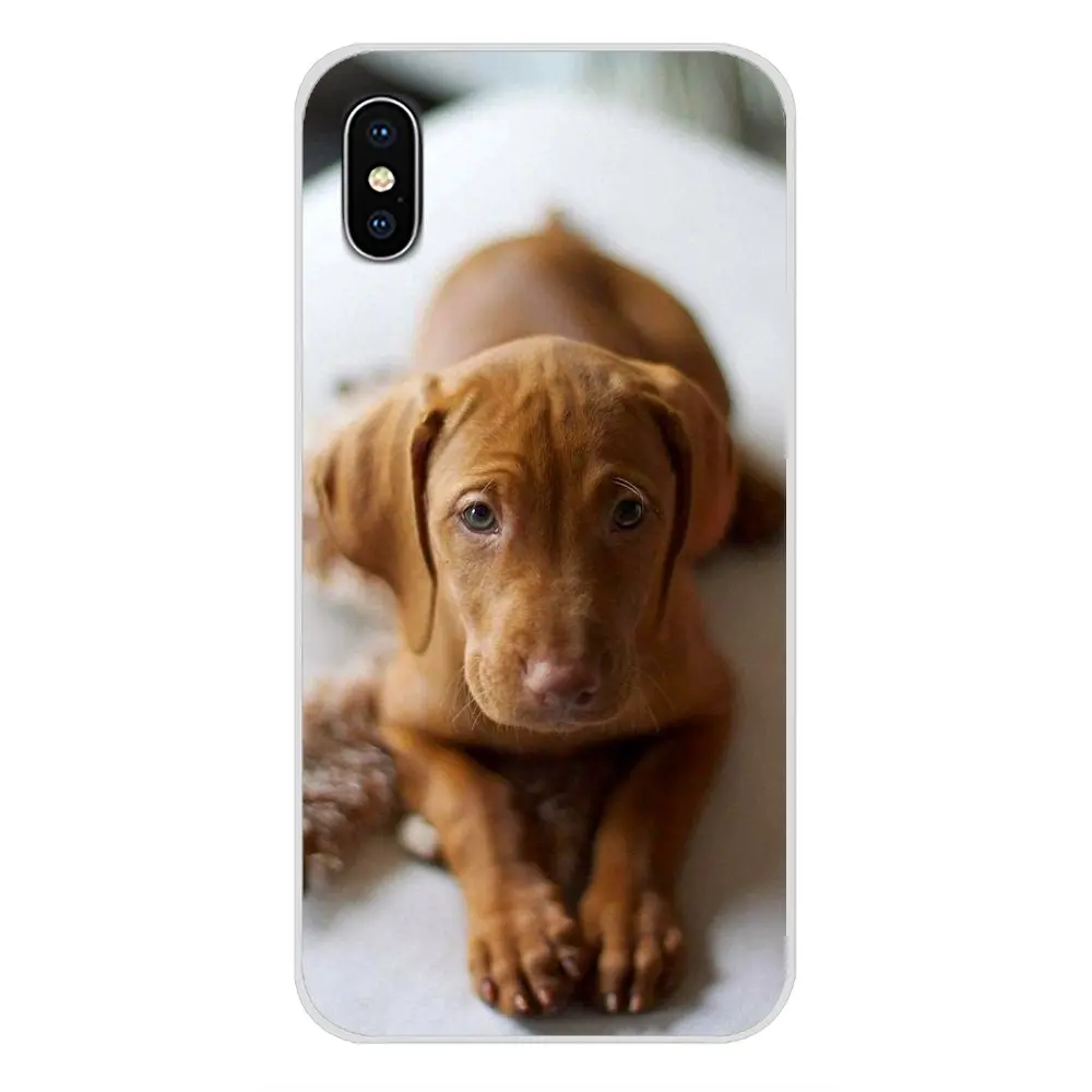 Для Apple iPhone X XR XS MAX 4 4S 5 5S 5C SE 6 6S 7 8 Plus ipod touch Vizsla аксессуары для собак чехлы телефонов