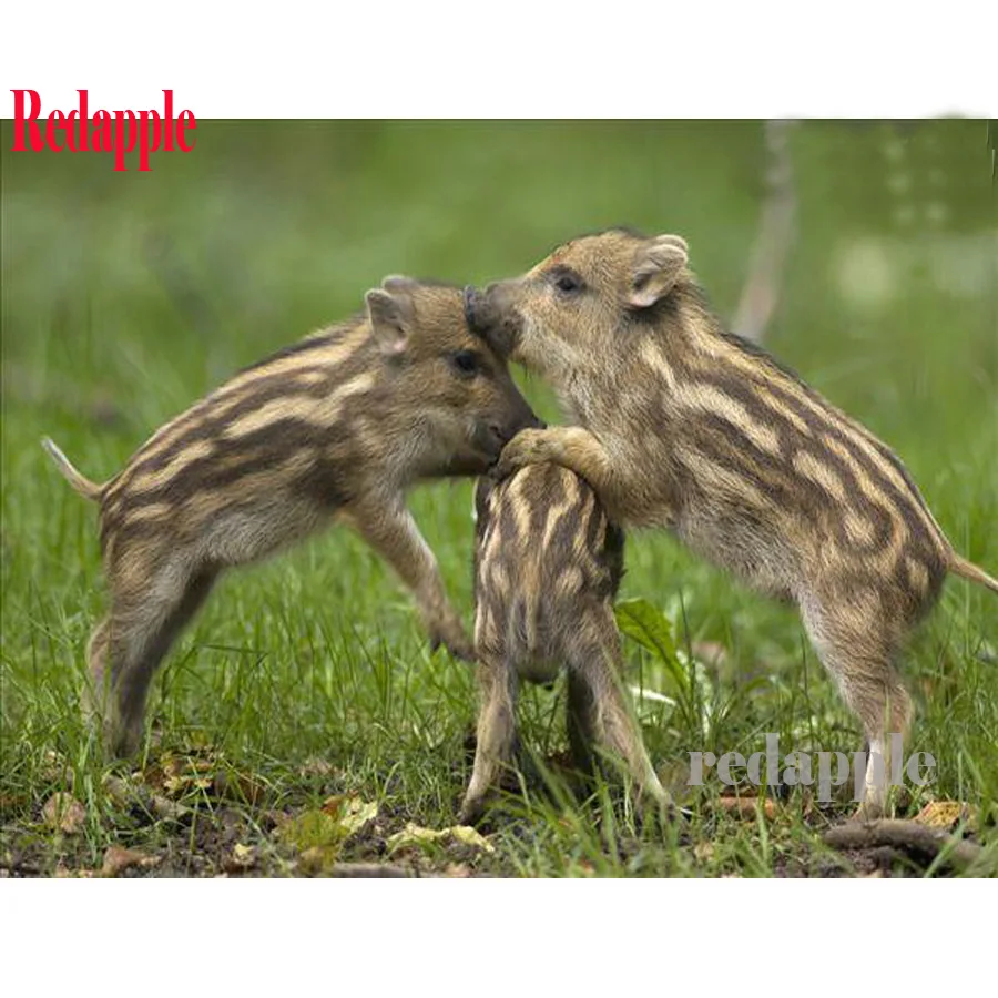 Набор для алмазной 3D вышивки «сделай сам», Набор для вышивки крестиком, дикий кабан, Маленькая свинья, алмазная живопись «сделай сам», квадр... 
Набор для алмазной 3D вышивки «сделай сам», Набор для вышивки крестиком, дикий кабан, Маленькая свинья, алмазная живопись «сделай сам», квадр...