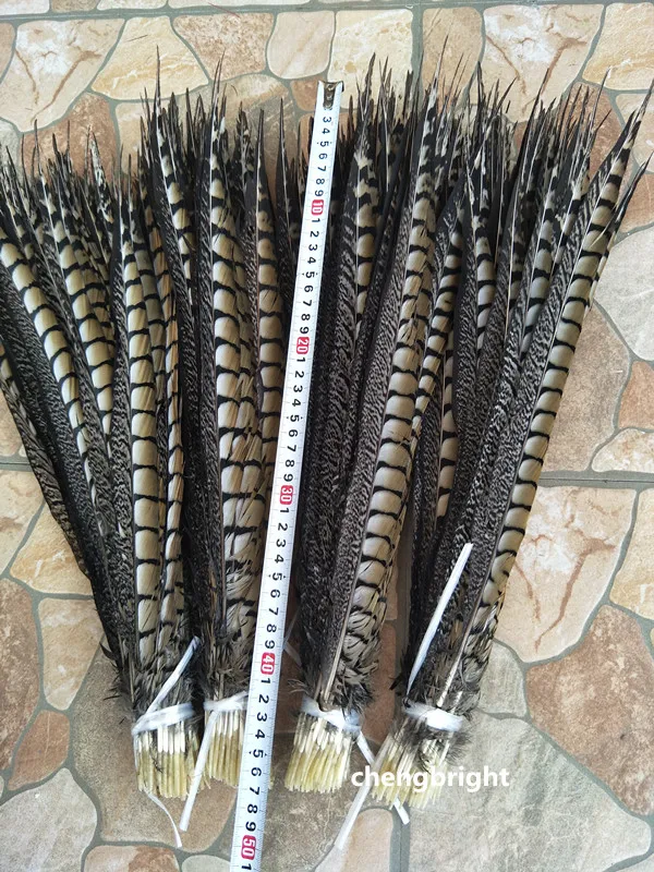 wholesale 20pcs high quality natural Lady Amherst Pheasant Feathers 10-120cm/4-48inch Wedding Accessories Stage performance diy
wholesale 20pcs high quality natural Lady Amherst Pheasant Feathers 10-120cm/4-48inch Wedding Accessories Stage performance diy
