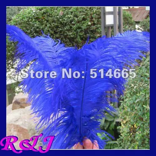 EMS EMS Free shipping Cheap ostrich feather 100pcs 16-18 inches 40-45cm blue Ostrich plumage ostrich plume
EMS EMS Free shipping Cheap ostrich feather 100pcs 16-18 inches 40-45cm blue Ostrich plumage ostrich plume