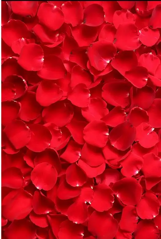 Beautiful petals 3D floor Waterproof floor mural painting Custom Photo self-adhesive 3D floor 3d flooring bathroom
Beautiful petals 3D floor Waterproof floor mural painting Custom Photo self-adhesive 3D floor 3d flooring bathroom