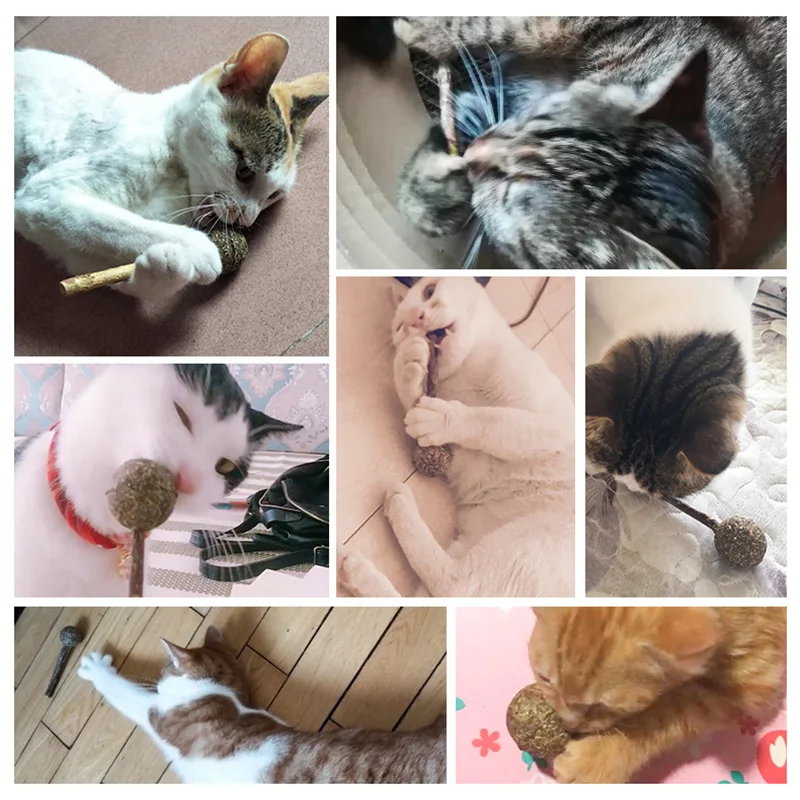 12*3.5cm Cat Catnip Lollipop Cat Cleaning Teeth Natural Catnip Ball Pet Cat Toothpaste Matatabi Silvervine Cat Snacks Sticks
12*3.5cm Cat Catnip Lollipop Cat Cleaning Teeth Natural Catnip Ball Pet Cat Toothpaste Matatabi Silvervine Cat Snacks Sticks