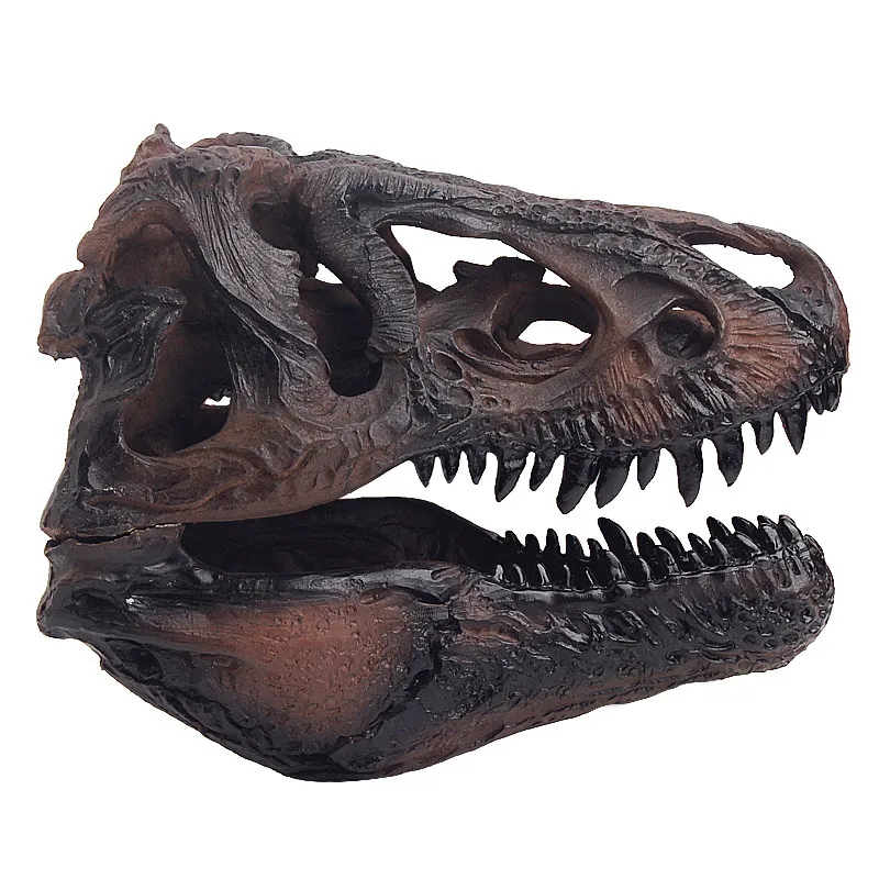 Newest Dinosaur Skull Tyrannosaurus Rex Dinosaur Resin Skull Model Simulation Model For Collection Size 16.7*11.7*12.3CM
Newest Dinosaur Skull Tyrannosaurus Rex Dinosaur Resin Skull Model Simulation Model For Collection Size 16.7*11.7*12.3CM