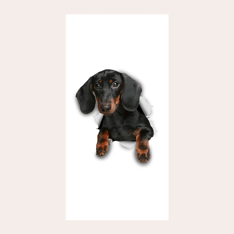 Funny Dachshund Dog Labrador Retriever Husky Yorkie Beach Travel Shower Towel for Swimmer Surf Bath Spa Towels Puppy Pet Gifts
Funny Dachshund Dog Labrador Retriever Husky Yorkie Beach Travel Shower Towel for Swimmer Surf Bath Spa Towels Puppy Pet Gifts