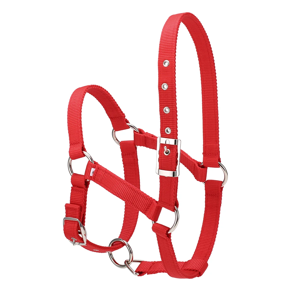 6MM Thickened Horse Head Collar Horse Riding Racing Equipment Horse Halter Pull Rope Leading Collar Adjustable Safety Halter
6MM Thickened Horse Head Collar Horse Riding Racing Equipment Horse Halter Pull Rope Leading Collar Adjustable Safety Halter