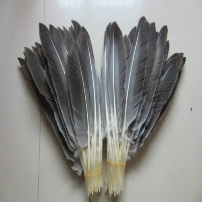 Perfect! hot 500pcs/lot 12-14inches / 30-35cm Natural wild turkey tail feathers crafts for Christmas wedding Decoration
Perfect! hot 500pcs/lot 12-14inches / 30-35cm Natural wild turkey tail feathers crafts for Christmas wedding Decoration
