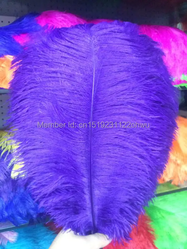 Hot Sale 10PCS Ostrich Feather 40-45 cm Wedding Decoration Party Plumage Decorative Celebration purple Free Shipping
Hot Sale 10PCS Ostrich Feather 40-45 cm Wedding Decoration Party Plumage Decorative Celebration purple Free Shipping