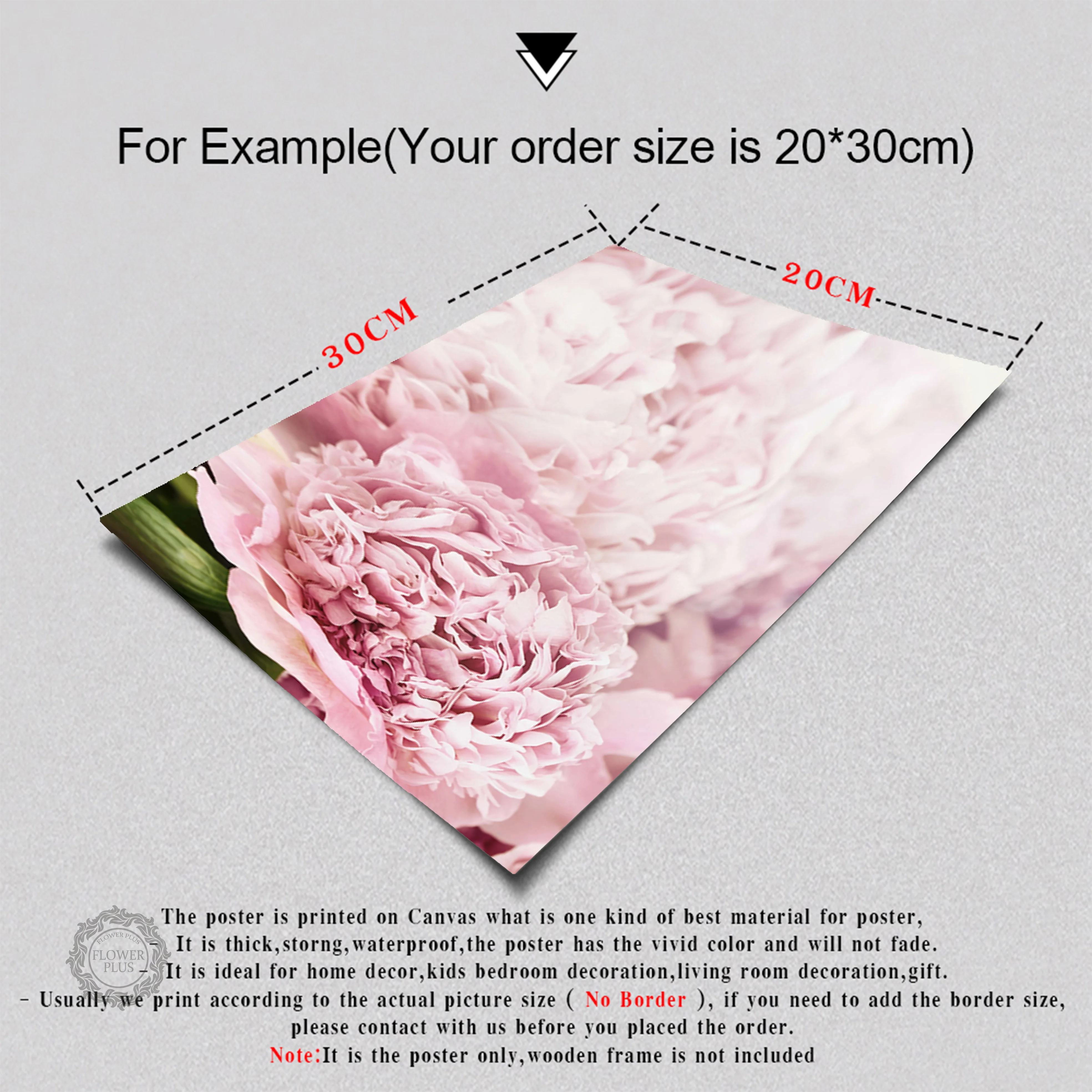 Cuadro Decoracion Wall Pop art Salon Blush Pink Peonies Posters and Prints Canvas Flower Painting Wall Pictures For living Room
Cuadro Decoracion Wall Pop art Salon Blush Pink Peonies Posters and Prints Canvas Flower Painting Wall Pictures For living Room