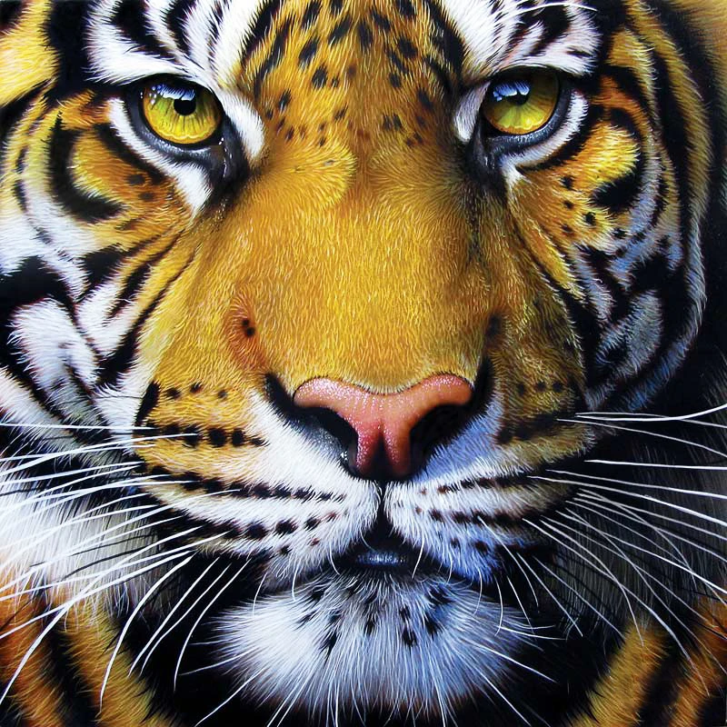 NEW 5D DIY Diamond Painting "Tiger King's Face" Animal Diamond Embroidery Cross Stitch Needlework Full Drill Home Decoration GT
NEW 5D DIY Diamond Painting "Tiger King's Face" Animal Diamond Embroidery Cross Stitch Needlework Full Drill Home Decoration GT