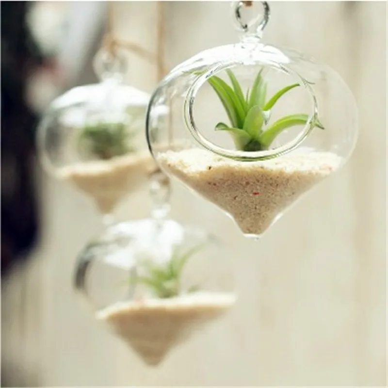 Hanging Glass Vase Hydroponic European Glass Vase Home Decor Minimalist Fashion Creative Home Decoration
Hanging Glass Vase Hydroponic European Glass Vase Home Decor Minimalist Fashion Creative Home Decoration