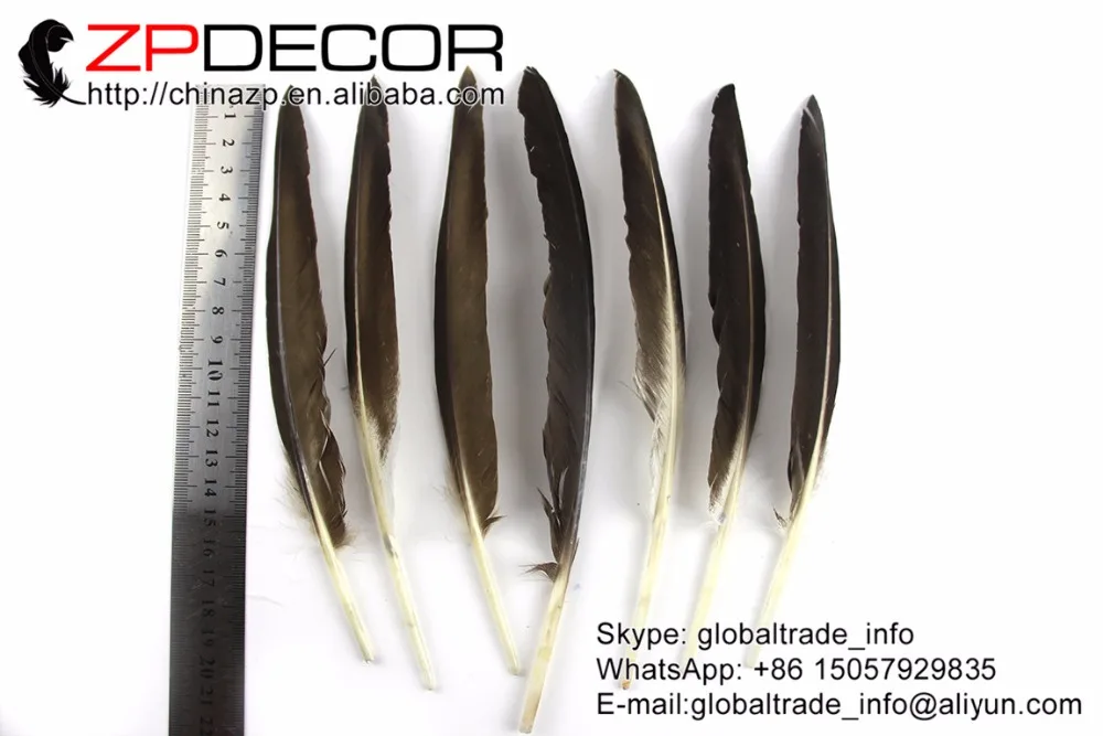 ZPDECOR 20-25cm 100pieces/lot Tip-Top Quality Natural Duck Grey Pointer Wing Feathers For Art Design
ZPDECOR 20-25cm 100pieces/lot Tip-Top Quality Natural Duck Grey Pointer Wing Feathers For Art Design