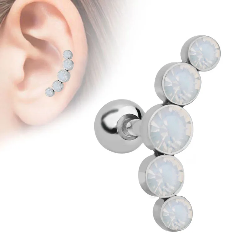 Hot 16G Cartilage Helix Tragus Stud Earrings Ear Nail Stainless Steel Bar Piercing Crystal Body Jewelry Accessories Gifts
Hot 16G Cartilage Helix Tragus Stud Earrings Ear Nail Stainless Steel Bar Piercing Crystal Body Jewelry Accessories Gifts