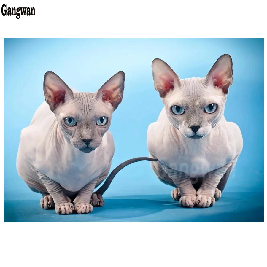 diamond embroidery"Sphynx Cat pet"5D diamond painting rhinestone cross stitch kits diamond mosaic cute animal 5d diy home decor
diamond embroidery"Sphynx Cat pet"5D diamond painting rhinestone cross stitch kits diamond mosaic cute animal 5d diy home decor