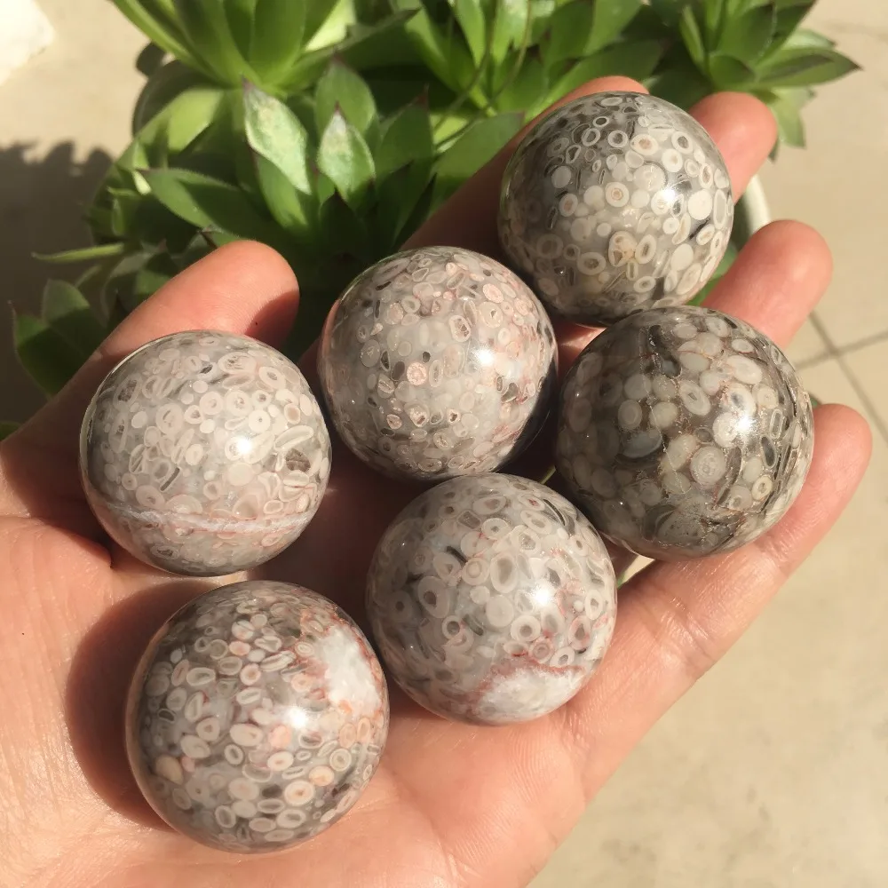 2pcs natural Red coral stone sphere reiki healing crystals ball polished gemstone rock as pocket lucky stone&home decoration 3cm
2pcs natural Red coral stone sphere reiki healing crystals ball polished gemstone rock as pocket lucky stone&home decoration 3cm