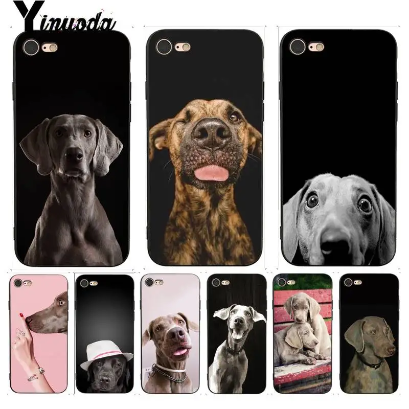 For iphone 13 7 6 X Case Weimaraner dog art Perfect Phone Case Cover for iphone 13 7 X 6 6S 8 Plus X 5 5S SE XR XS XSMAX
For iphone 13 7 6 X Case Weimaraner dog art Perfect Phone Case Cover for iphone 13 7 X 6 6S 8 Plus X 5 5S SE XR XS XSMAX