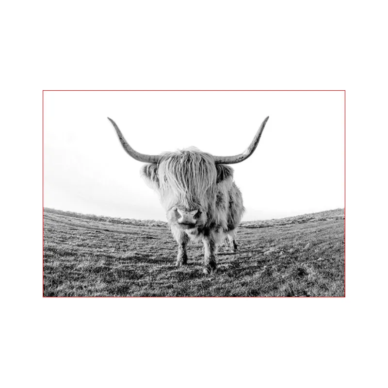 Абстрактная живопись Безрамная пустыня yak Девушка Окрашенные цифровой акриловой