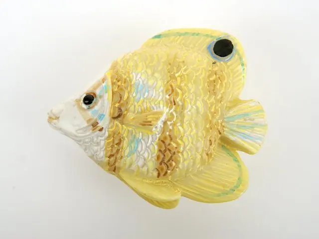 Tropical Fish Kitchen Cabinet Handle and Knobs10Pcs/Lot Child Cartoon Sea Style Yellow
Tropical Fish Kitchen Cabinet Handle and Knobs10Pcs/Lot Child Cartoon Sea Style Yellow