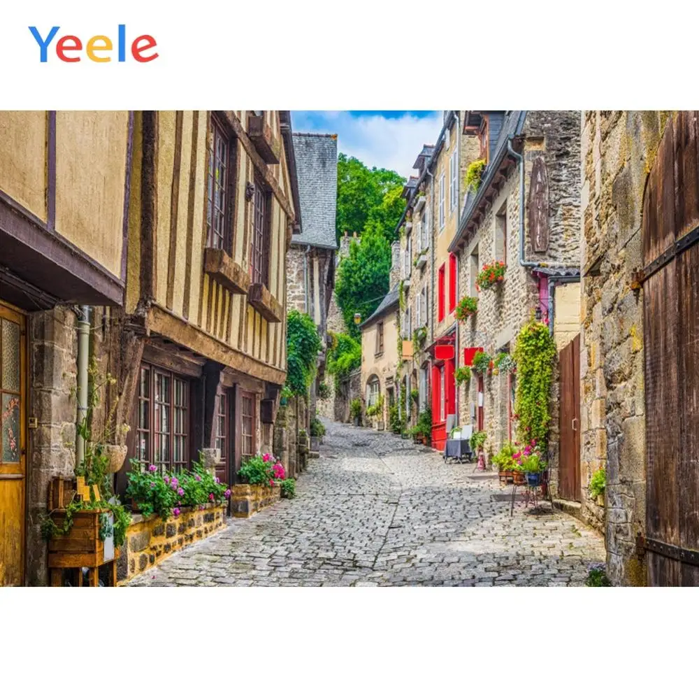 Yeele Village Town House Flower Grass Stone Road Baby Photography Backgrounds Customized Photographic Backdrops for Photo Studio
Yeele Village Town House Flower Grass Stone Road Baby Photography Backgrounds Customized Photographic Backdrops for Photo Studio