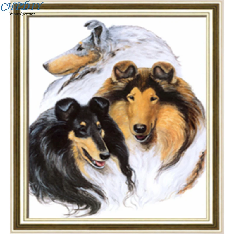 Full,Diamond painting rhinestones,62X75CM Three Dog decorative painting,Round,Handmade mosaic,Diy,Diamond embroidery
Full,Diamond painting rhinestones,62X75CM Three Dog decorative painting,Round,Handmade mosaic,Diy,Diamond embroidery