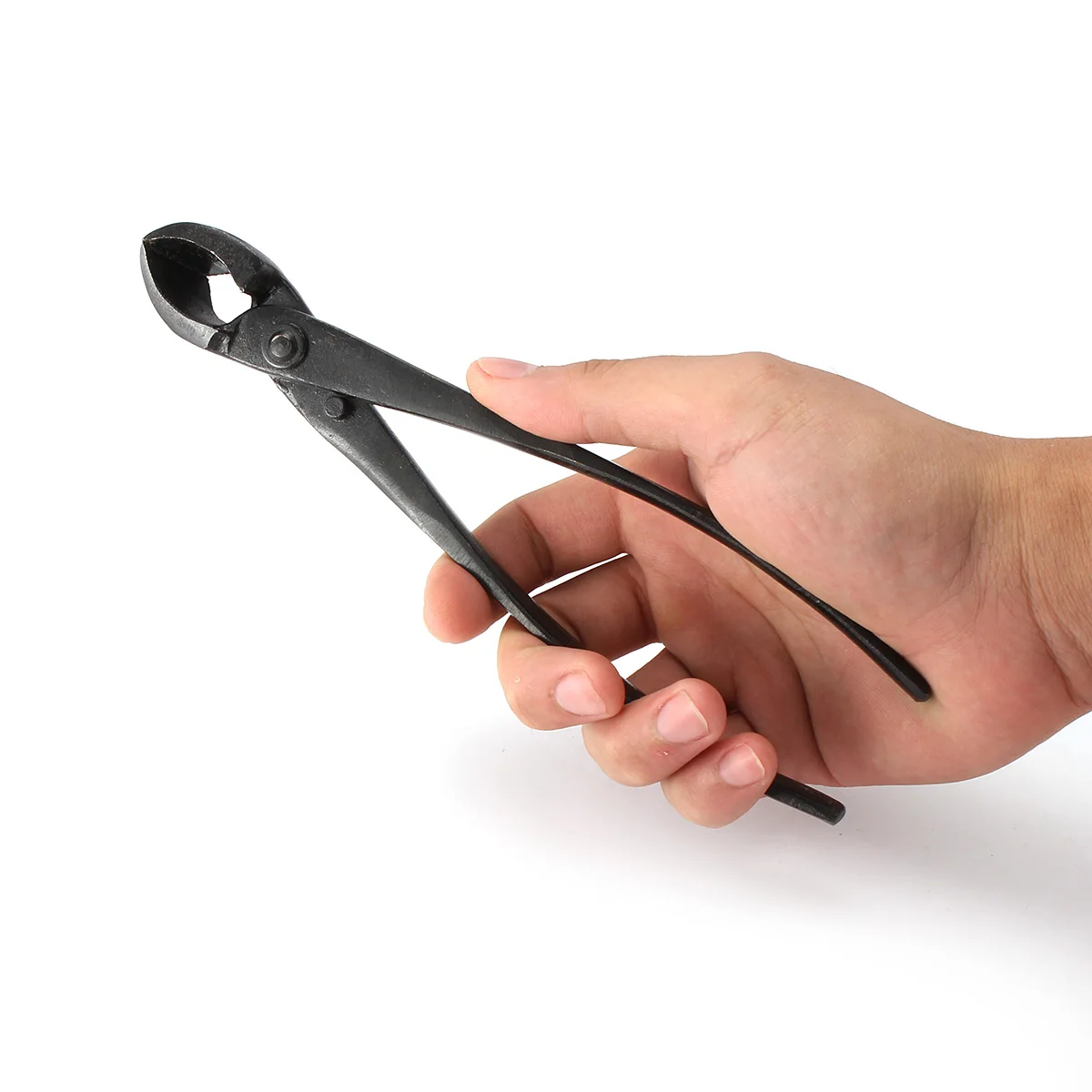 Round Edge Cutter Beginner Bonsai Tools Multi - Function As Branch Cutter and Knob Cutter 205mm 8'' Carbon Steel Garden Branch
Round Edge Cutter Beginner Bonsai Tools Multi - Function As Branch Cutter and Knob Cutter 205mm 8'' Carbon Steel Garden Branch
