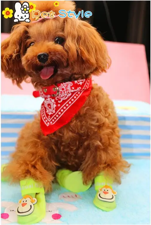 E54 Dog Rain boots Pet Shoes Pet Boots Anti Slip Skid Waterproof Rain boots 4pcs/set
E54 Dog Rain boots Pet Shoes Pet Boots Anti Slip Skid Waterproof Rain boots 4pcs/set
