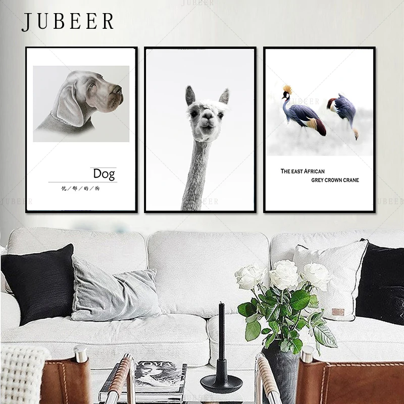 Nordic Simple Style Lovely Dog Animal Painting Alpaca Canvas Poster Scandinavian Wall Art Picture Decoration Poster Home Decor
Nordic Simple Style Lovely Dog Animal Painting Alpaca Canvas Poster Scandinavian Wall Art Picture Decoration Poster Home Decor