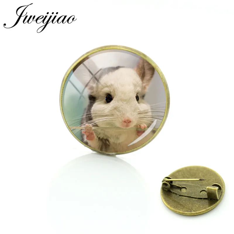 JWEIJIAO New 20mm Pet Cat Totoro Brooches Glass Cabochon Dome Antique Bronze Metal Badge Clothes Bag Pin Decoration QF911
JWEIJIAO New 20mm Pet Cat Totoro Brooches Glass Cabochon Dome Antique Bronze Metal Badge Clothes Bag Pin Decoration QF911