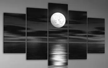 Sea White Full Moon Night-Landscape Oil Painting on Canvas-5pcs canvas art set for Home Decor
Sea White Full Moon Night-Landscape Oil Painting on Canvas-5pcs canvas art set for Home Decor