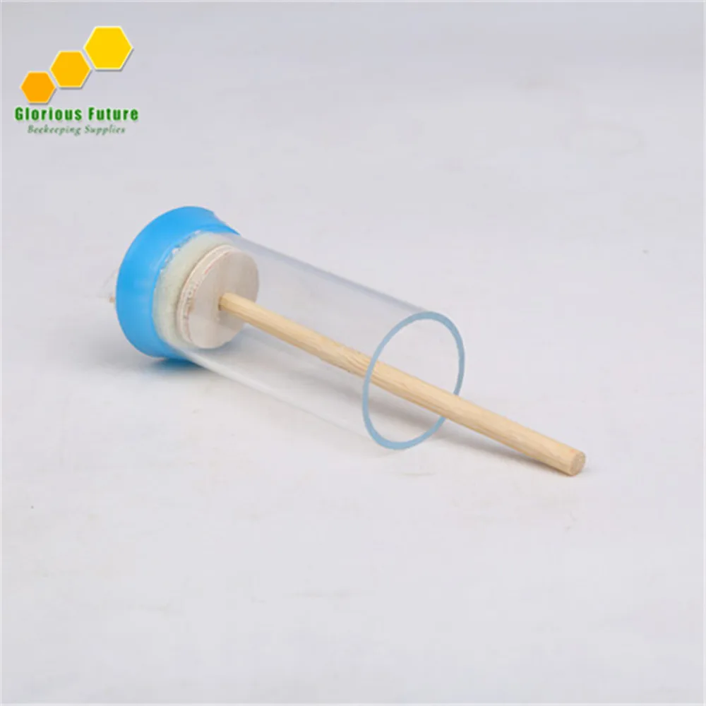 3 PCS Best Price Glorious Future Beekeeping Tools White Plastic Queen Cage With sponge
3 PCS Best Price Glorious Future Beekeeping Tools White Plastic Queen Cage With sponge