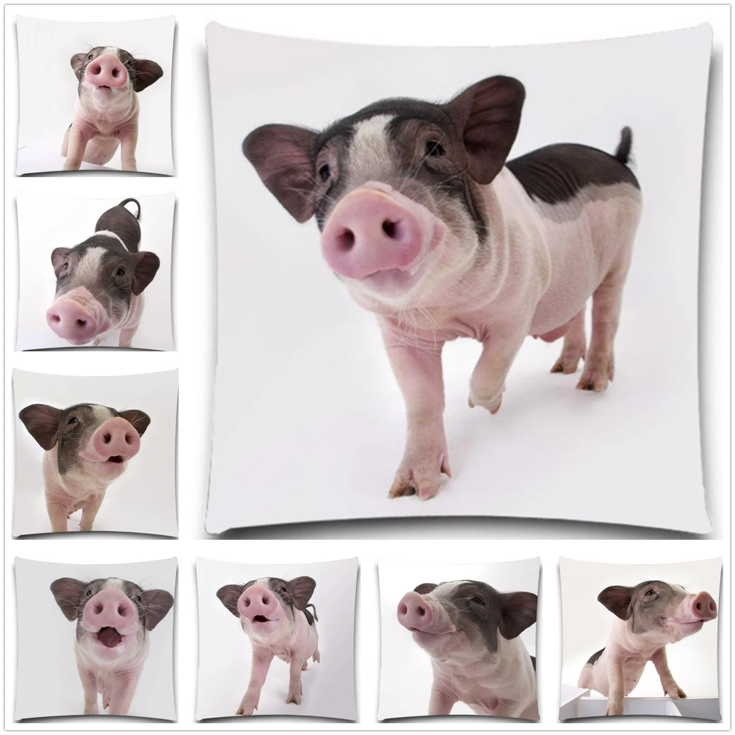 Black and white pig close to the camera 2D print creative Pillow case Square cotton polyester cushion cover
Black and white pig close to the camera 2D print creative Pillow case Square cotton polyester cushion cover