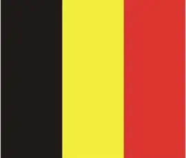 Belgium Flags Wholesale Lot of 10 PCS National Polyester Banner150* 90cm 3ft x 5ft All over the world outdoor
Belgium Flags Wholesale Lot of 10 PCS National Polyester Banner150* 90cm 3ft x 5ft All over the world outdoor